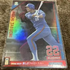 プロ野球　オーナーズリーグ　田淵幸一