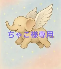 専用