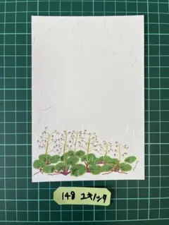 絵はがき　　選択用　各種絵はがき、見本　　10枚600円