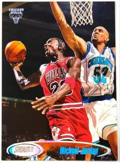 TSC MICHAEL JORDAN