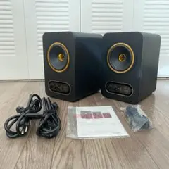 【スタイラス建築設計】TANNOY GOLD5 ペア TANNOY タンノイ / GOLD 5 ペア【5m XLR-XLR ケーブルセット