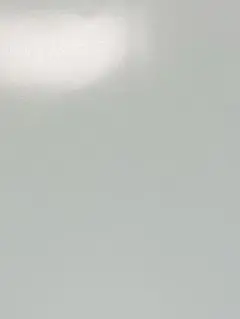 専用出品