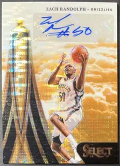 30枚限定 Zach Randolph Flight Auto FOTL NBA