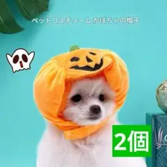 Item thumbnail for item ec67e6fc-181d-407c-abc2-9d92ab36f185