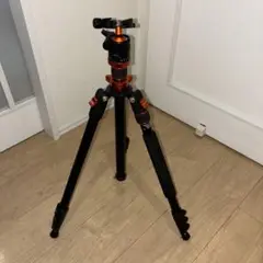 Item thumbnail for item ef0af031-1c15-4db0-969d-e3dfbb6d6735