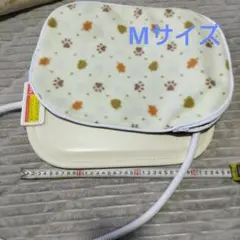 Item thumbnail for item 80b0eb2c-9fe2-44e0-b1b9-26e6b2571398