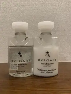 Item thumbnail for item cadc000f-87b0-477d-9405-e1216d4ac9ce