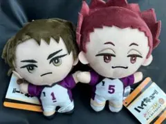 ハイキュー みにコレ ぬいぐるみマスコット 牛島若利 天童覚