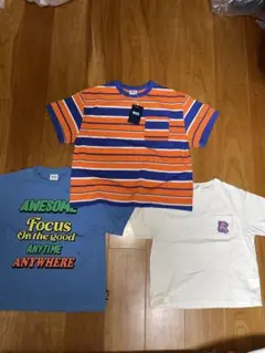 Item thumbnail for item 628a4f86-5963-4cee-8a59-21c8ba188fc5