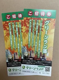 グリーンランド 入場券 ペア