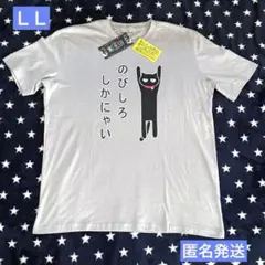 匿名発送❣️おもしろ Tシャツ　半袖　LL グレー　メンズ　レディース　ネコ