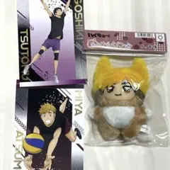 ハイキュー ちみけもマスコット