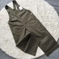 Item thumbnail for item 6e87658e-79a3-4d28-98fb-40c24eedb9ec