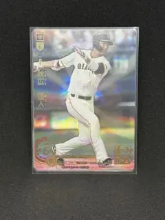 Item thumbnail for item 68217eea-5be6-4665-ab36-191212c2fa3e