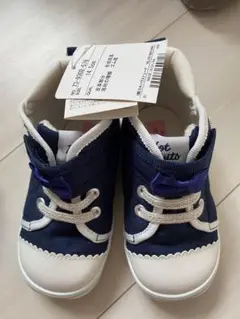 Item thumbnail for item a67a959e-d0ab-4435-a927-ff154deb9e94