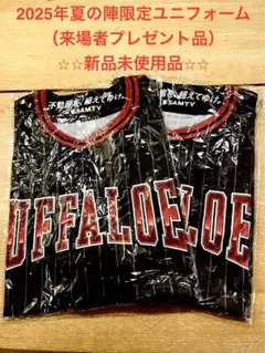 BUFFALOES 夏の陣プリントユニフォーム（配布商品） 2枚セット