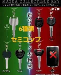 Item thumbnail for item 1d307193-4dc6-45a4-b3ed-1c3707b92e97