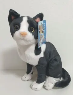リアルアニマル　猫　お座りぬいぐるみ