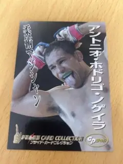 ufc 激レアカード　アントニオ・ホドリゴ・ノゲイラ　サインカード 2025年最新】アントニオ・ノゲイラの人気アイテム - メルカリ