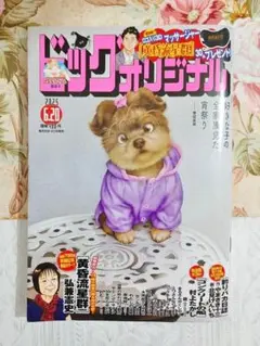 ビッグコミックオリジナル 2025年6月20日号 雑誌 週刊誌