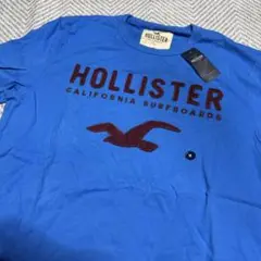 HOLLISTER ブルー Tシャツ M