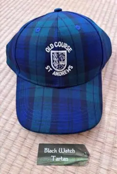 Item thumbnail for item c77ecb11-f9d9-46dc-826a-98f5db8b35ee