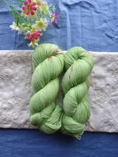 【再販】巳年②　100g （手染め毛糸）