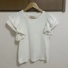 ZARA フリル袖 ホワイト リブニット M