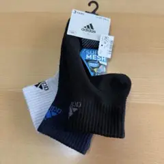 Item thumbnail for item ac7b1433-1ef0-4485-b943-86e5e62946d7