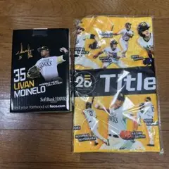 モイネロボブルヘッド タオル セット