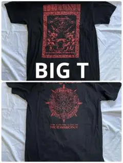 Item thumbnail for item ecffd23b-cba8-416f-b9cc-8e0671e36c30
