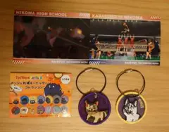 ファンパークメッシュ刺繍キーホルダーとゴミ捨て場の決戦フォトカードの4点セット