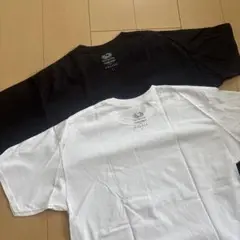 FRUIT OF THE LOOM Tシャツ 2色セット