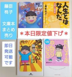 文庫本 4冊 まとめ売り 藤臣柊子 気持ちが軽くなる 美容 健康 心 エッセイ