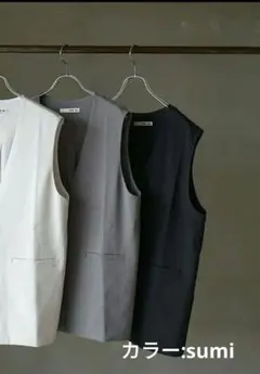 美品2024年製　evam eva【定価3.3万】　コットンベスト sumi