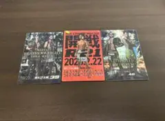 RIZINポテトスティックカード3枚セット