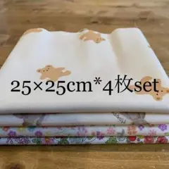 Item thumbnail for item 1f035cdf-60a3-4711-bb09-80f07293a519