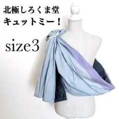 Item thumbnail for item 081d621e-103e-4448-a60f-2e438c68395b