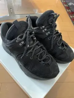 Item thumbnail for item 94fc98e3-a63b-4b44-b91d-58071ebaf76d