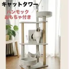 Item thumbnail for item a7954b2f-defb-4ddc-b145-2a8d4f19f951