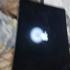 Apple iPad 本体