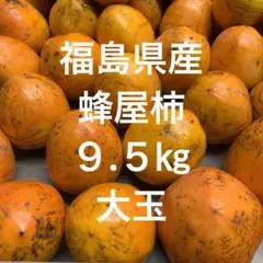 渋柿 蜂屋柿 箱込み9.5㎏〈大玉〉干し柿用