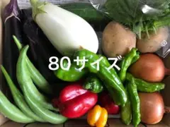 お野菜セット80サイズ