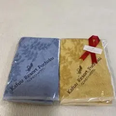 Item thumbnail for item 21efc01a-4509-49b4-a1c1-f1cccdc4ee27