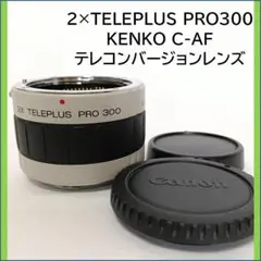 Item thumbnail for item c523009f-1b4a-44ce-9b84-1bade8b0015e