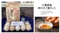 オーガニック千の国 開設記念 房総地鶏10個 千葉県産 卵かけご飯セット③
