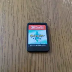 ポケットモンスター ソード Nintendo Switch カセットのみ