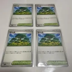 ポケモンカード　活力の森 4枚