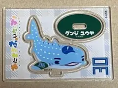 あにまるファイターズ　アクリルスタンド　郡司裕也　日本ハムファイターズ