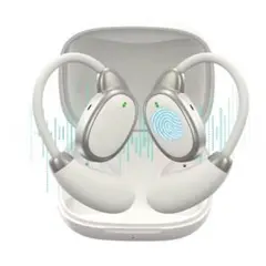 Item thumbnail for item 2107bab9-a663-4b96-947d-aec2d04f1453